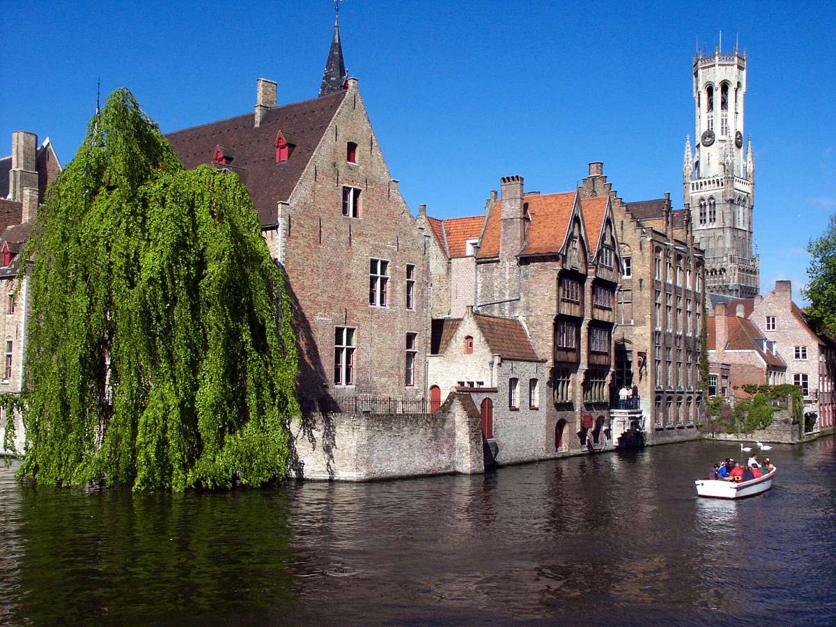 Brick houses, a willow tree and the Belfry tower along the Rozenhoedkaai canal in Bruges